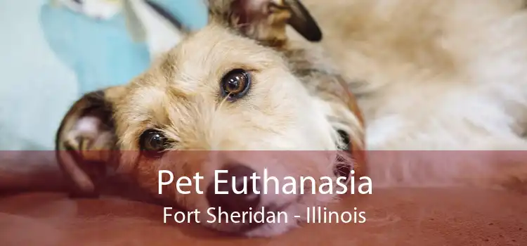 Pet Euthanasia Fort Sheridan - Illinois