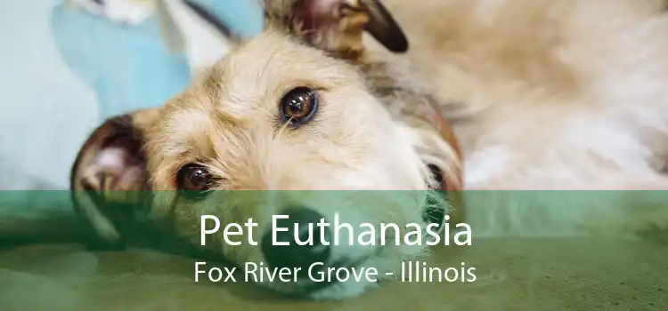 Pet Euthanasia Fox River Grove - Illinois