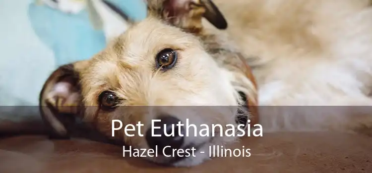 Pet Euthanasia Hazel Crest - Illinois