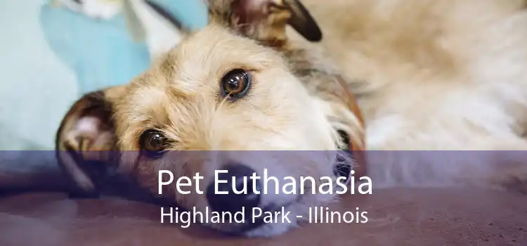 Pet Euthanasia Highland Park - Illinois
