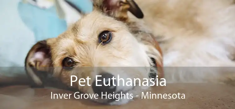 Pet Euthanasia Inver Grove Heights - Minnesota