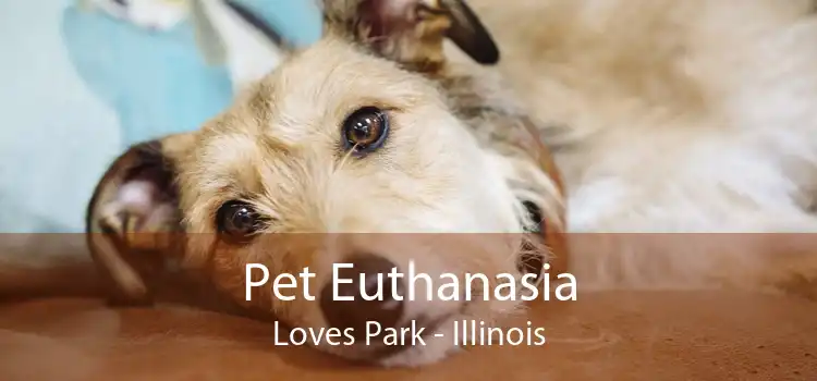Pet Euthanasia Loves Park - Illinois