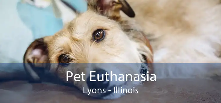Pet Euthanasia Lyons - Illinois