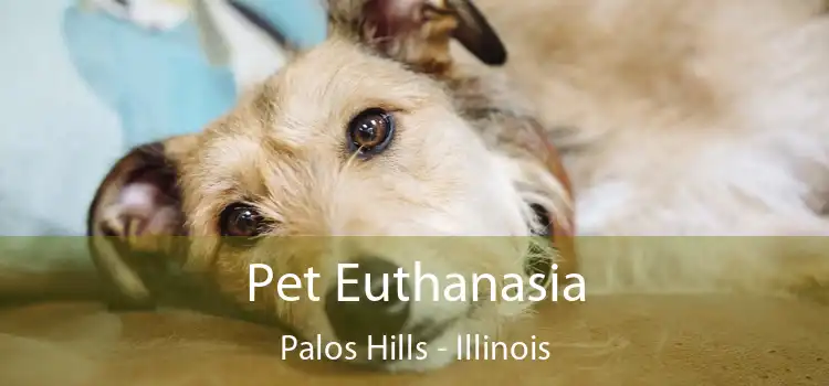 Pet Euthanasia Palos Hills - Illinois