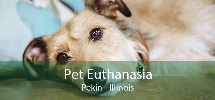 Pet Euthanasia Pekin - Illinois