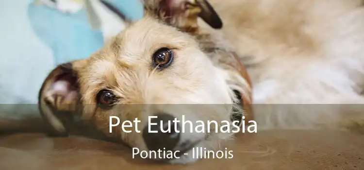 Pet Euthanasia Pontiac - Illinois