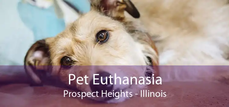Pet Euthanasia Prospect Heights - Illinois