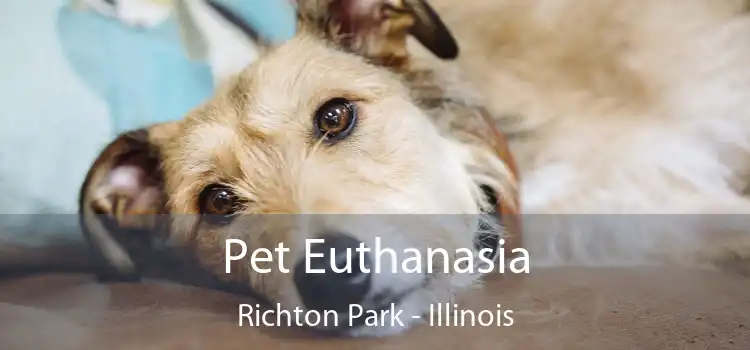 Pet Euthanasia Richton Park - Illinois
