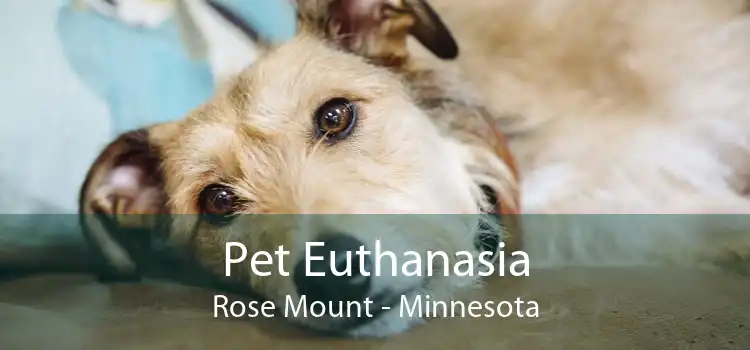 Pet Euthanasia Rose Mount - Minnesota