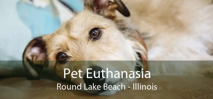 Pet Euthanasia Round Lake Beach - Illinois