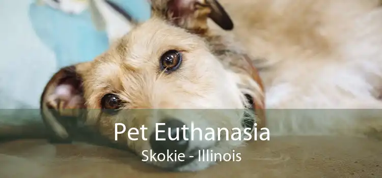Pet Euthanasia Skokie - Illinois
