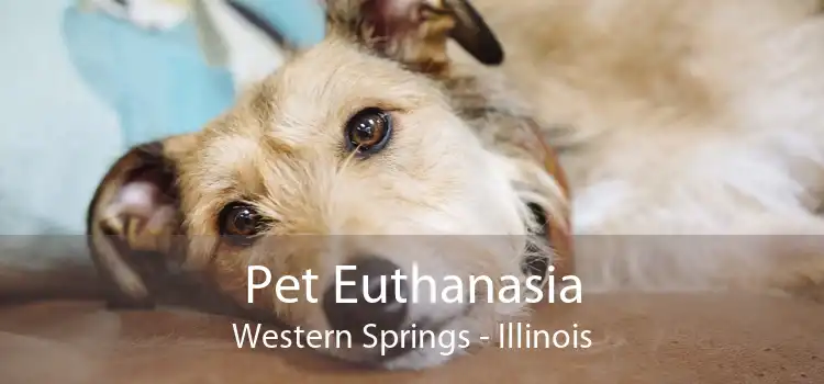 Pet Euthanasia Western Springs - Illinois