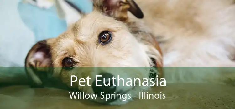 Pet Euthanasia Willow Springs - Illinois