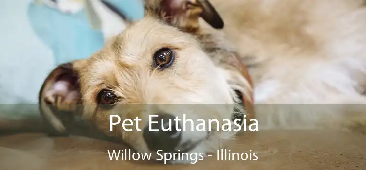 Pet Euthanasia Willow Springs - Illinois
