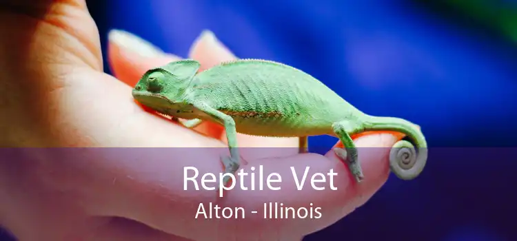 Reptile Vet Alton - Illinois