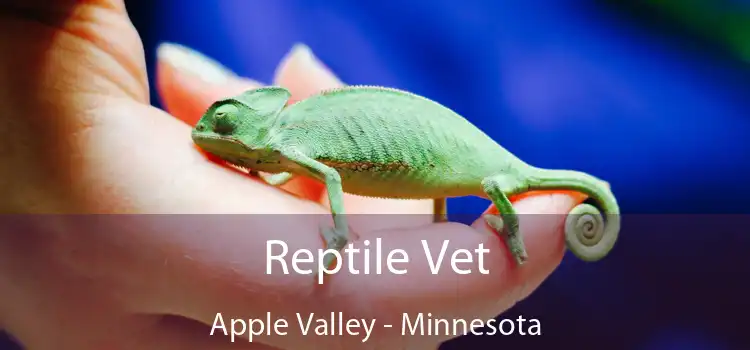 Reptile Vet Apple Valley - Minnesota