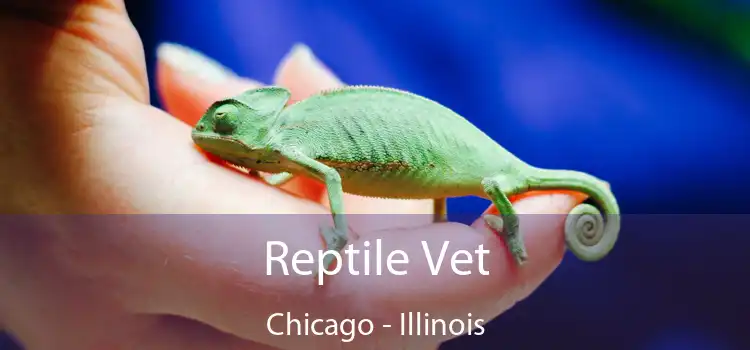 Reptile Vet Chicago - Illinois