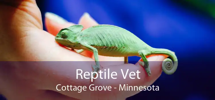 Reptile Vet Cottage Grove - Minnesota
