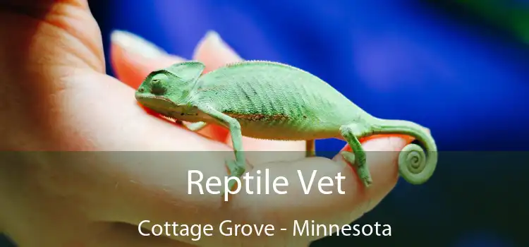 Reptile Vet Cottage Grove - Minnesota