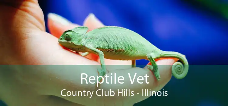 Reptile Vet Country Club Hills - Illinois