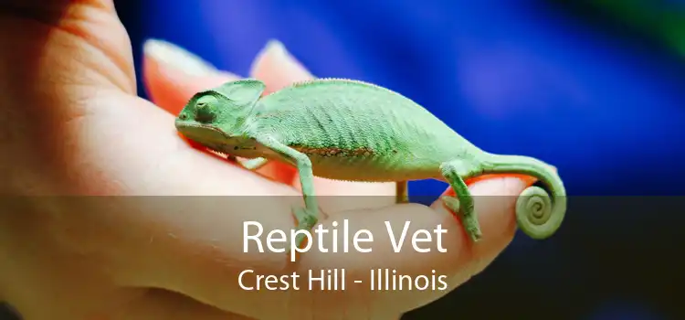 Reptile Vet Crest Hill - Illinois