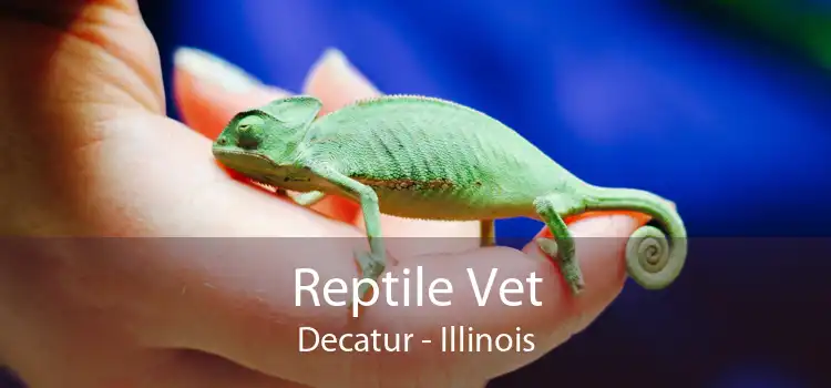 Reptile Vet Decatur - Illinois