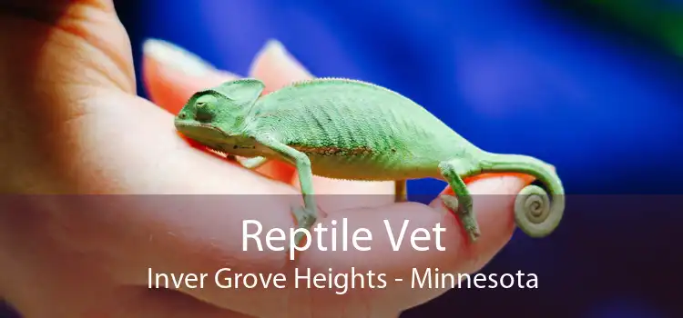 Reptile Vet Inver Grove Heights - Minnesota