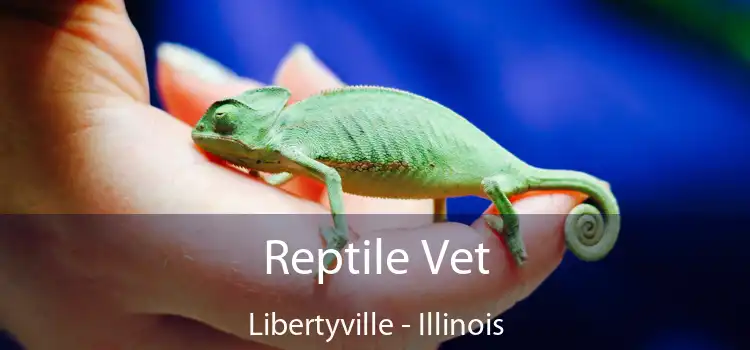 Reptile Vet Libertyville - Illinois