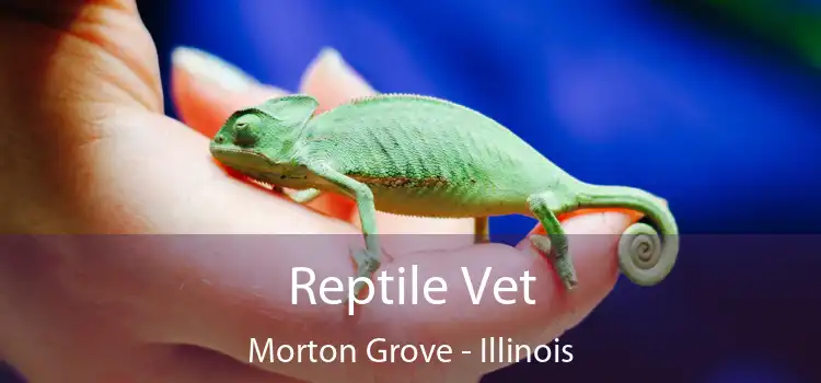 Reptile Vet Morton Grove - Illinois