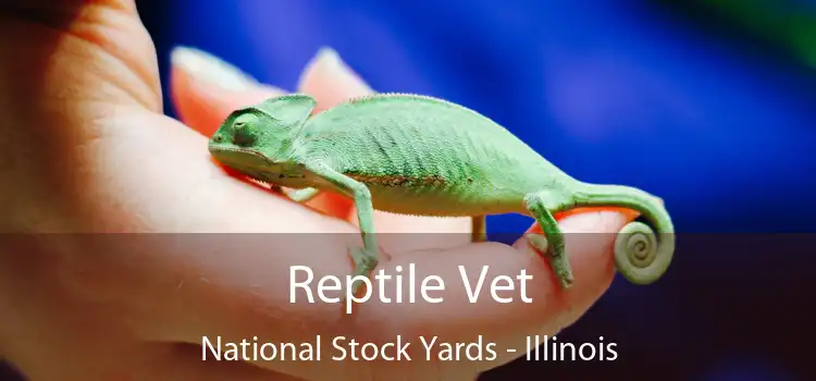 Reptile Vet National Stock Yards - Illinois
