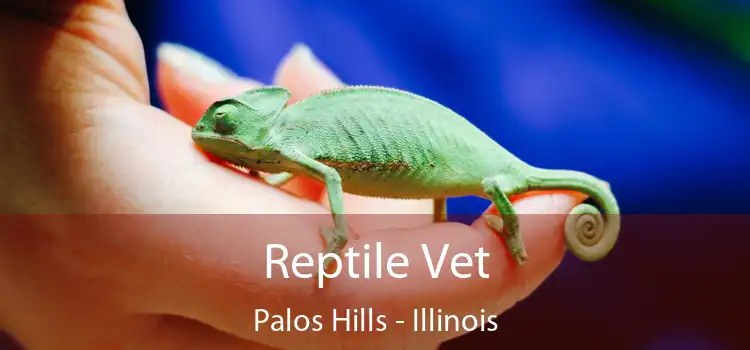 Reptile Vet Palos Hills - Illinois