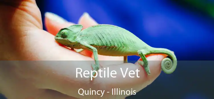 Reptile Vet Quincy - Illinois