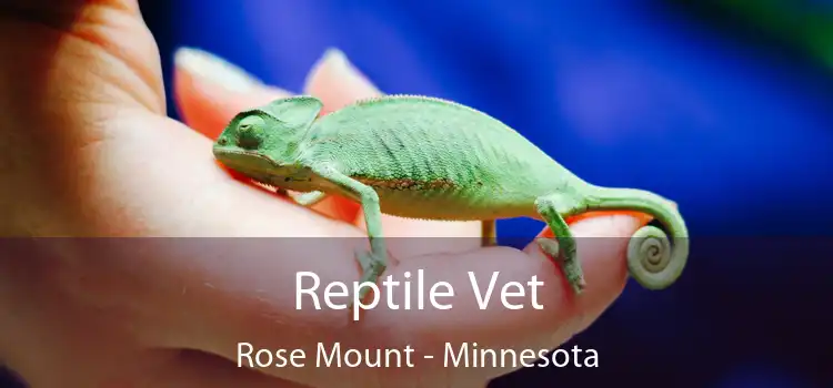 Reptile Vet Rose Mount - Minnesota