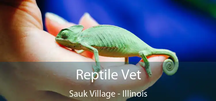 Reptile Vet Sauk Village - Illinois