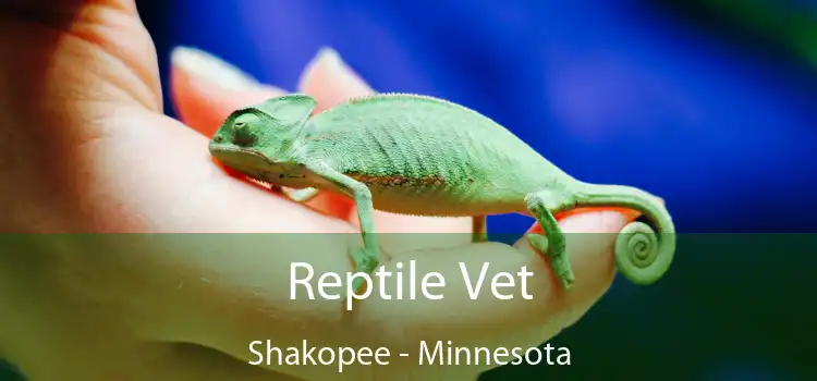 Reptile Vet Shakopee - Minnesota