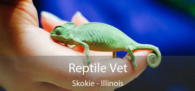 Reptile Vet Skokie - Illinois