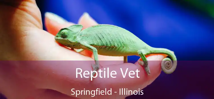 Reptile Vet Springfield - Illinois