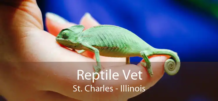 Reptile Vet St. Charles - Illinois