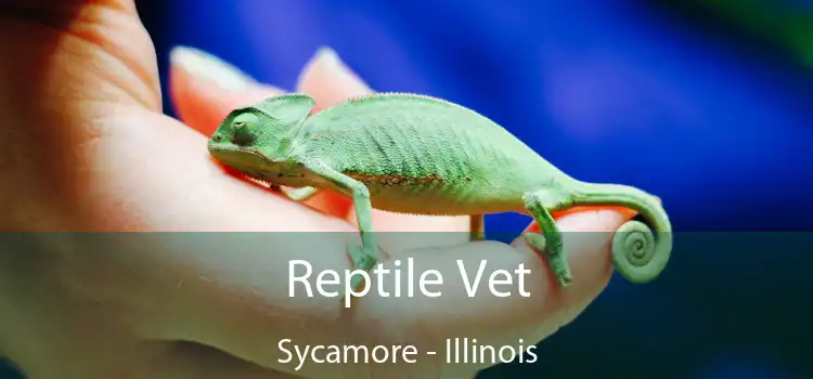 Reptile Vet Sycamore - Illinois