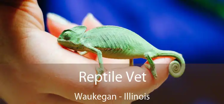 Reptile Vet Waukegan - Illinois