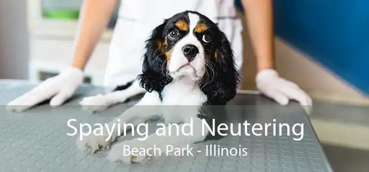 Spaying and Neutering Beach Park - Illinois