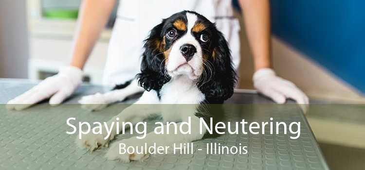 Spaying and Neutering Boulder Hill - Illinois