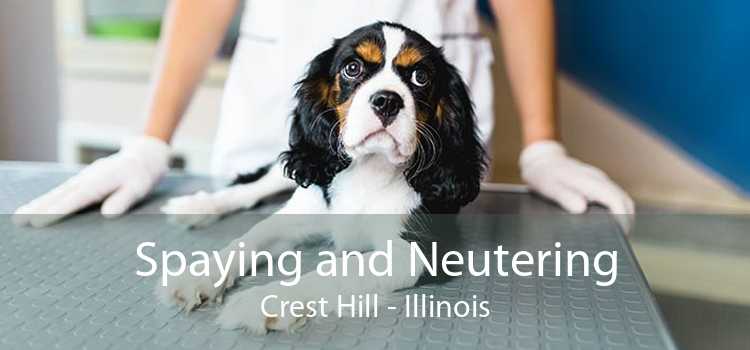 Spaying and Neutering Crest Hill - Illinois