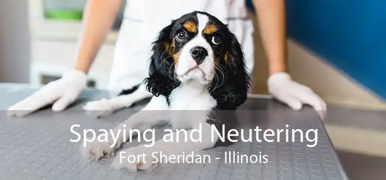 Spaying and Neutering Fort Sheridan - Illinois