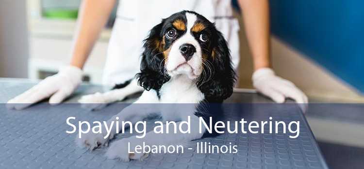 Spaying and Neutering Lebanon - Illinois