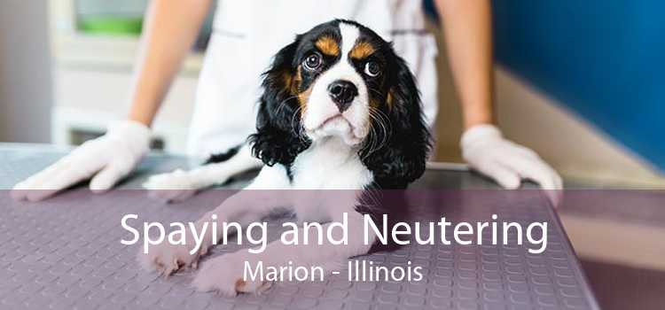 Spaying and Neutering Marion - Illinois