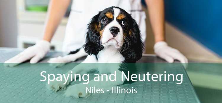 Spaying and Neutering Niles - Illinois