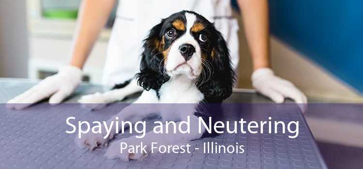 Spaying and Neutering Park Forest - Illinois