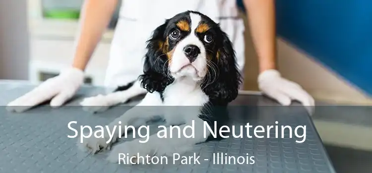 Spaying and Neutering Richton Park - Illinois