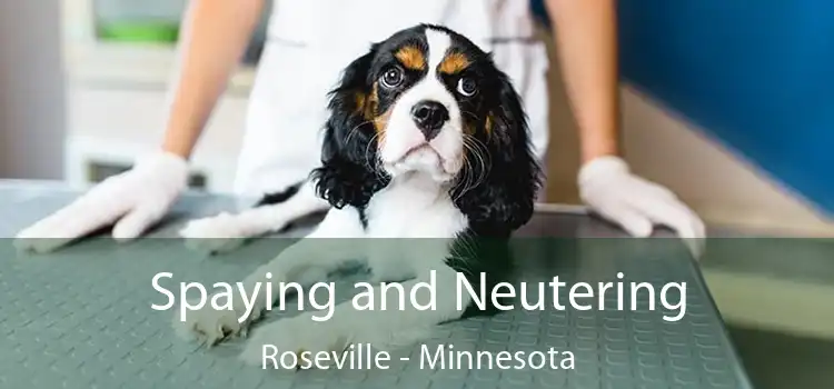 Spaying and Neutering Roseville - Minnesota